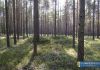 Spacerkiem po gminie - zapomniany kamieniołom i lej po bombie
