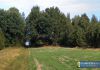 Spacerkiem po gminie - zapomniany kamieniołom i lej po bombie
